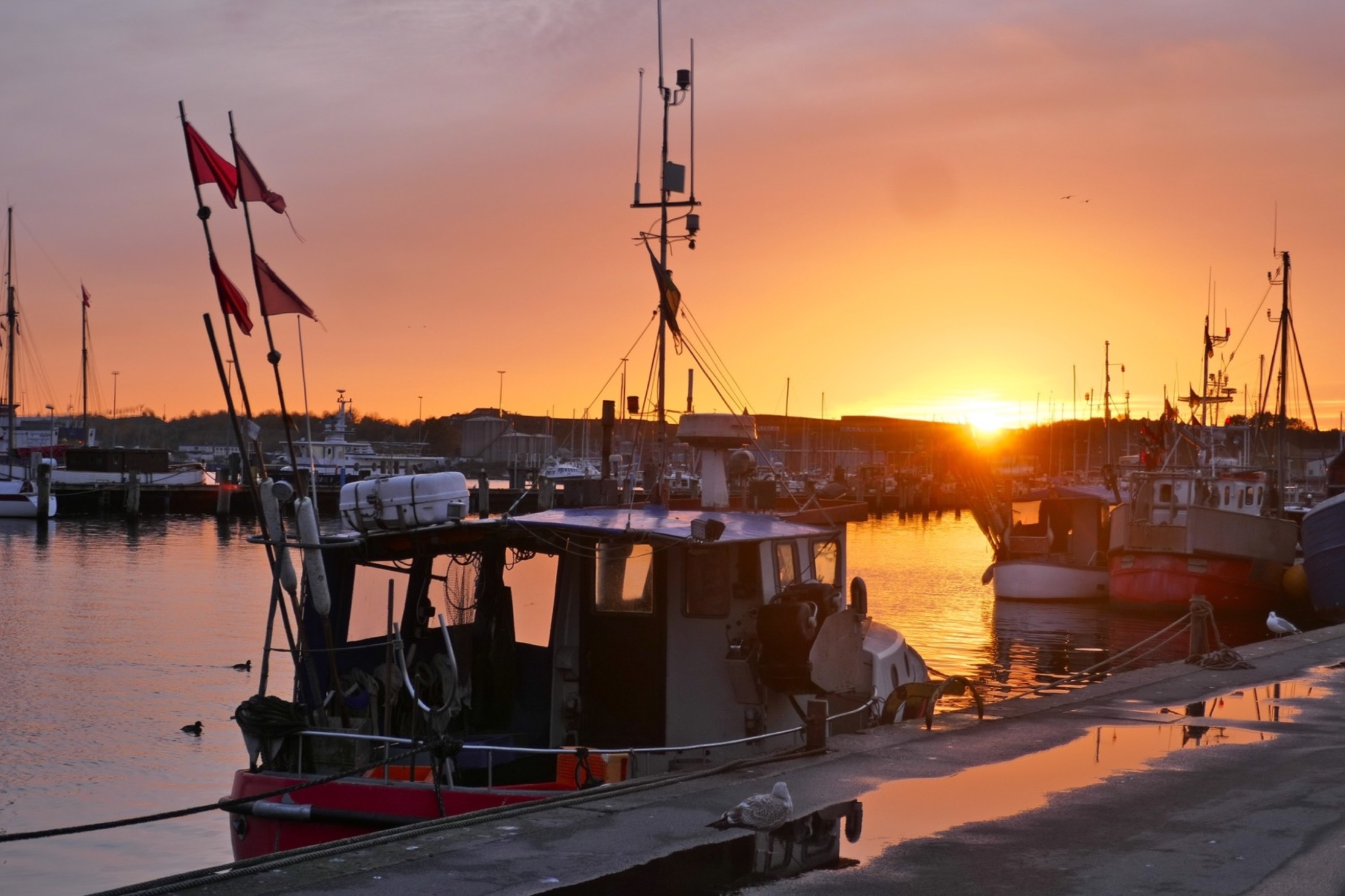 Travemünder Fischereihafen im warmen Abendlicht